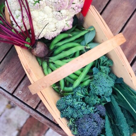 An Autumn/Winter Italian Garden & Lunch - Saturday 23 May 2026